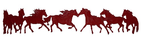 HORSES cm164 x 30