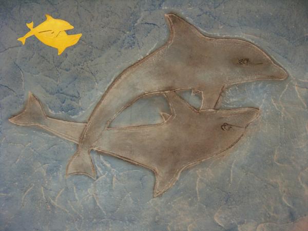 DOLPHINS 75 x 48